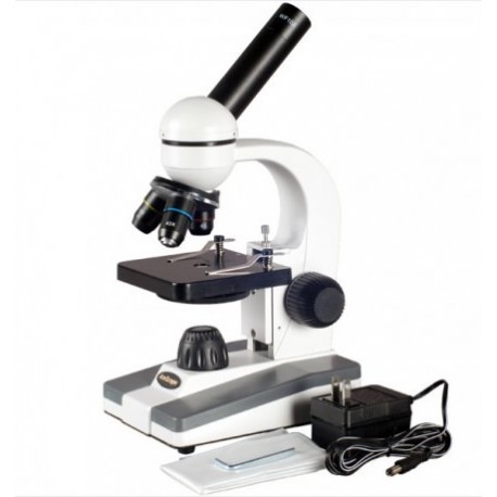 MICROSCOPIO BIOLÓGICO COMPUESTO, 40X-800X - AMSCOPE