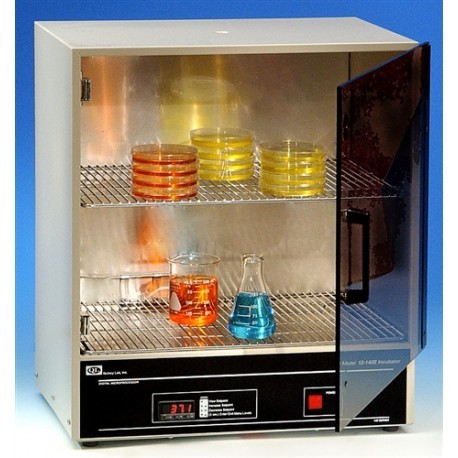 INCUBADORA DIGITAL AMB 2 C - 62 C, 56.63 LTS - QUINCY LAB