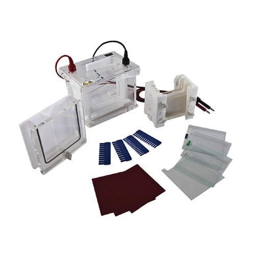 Cámara de electroforesis Mini-protean. Modelo CS-SCZ4