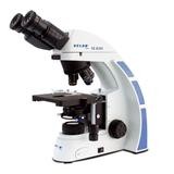 Microscopio binocular biológico. Modelo VE-B300